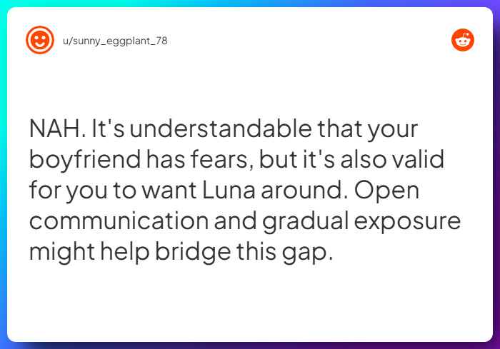 Comment from u/sunny_eggplant_78