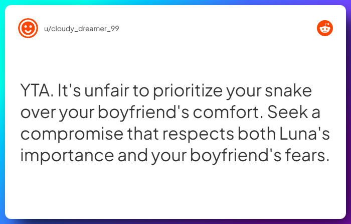 Comment from u/cloudy_dreamer_99