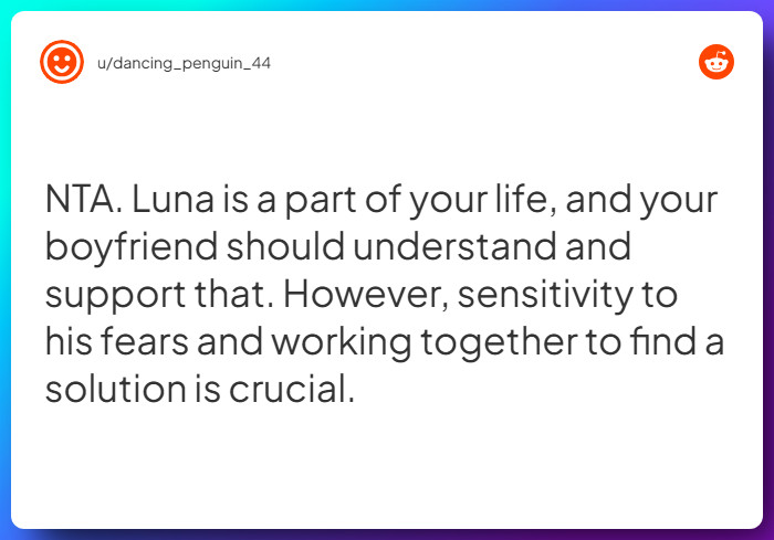 Comment from u/dancing_penguin_44