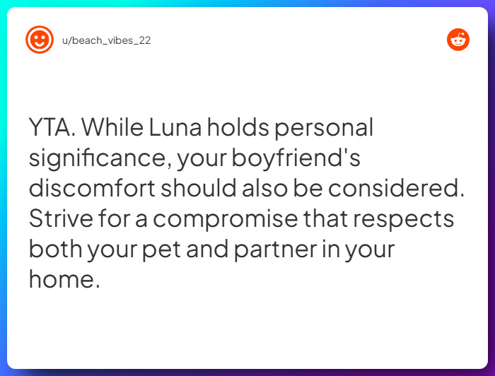 Comment from u/beach_vibes_22