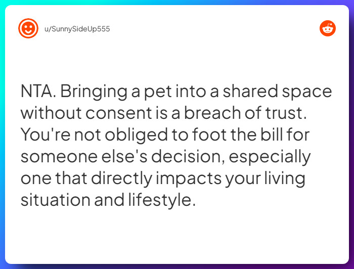 Comment from u/SunnySideUp555