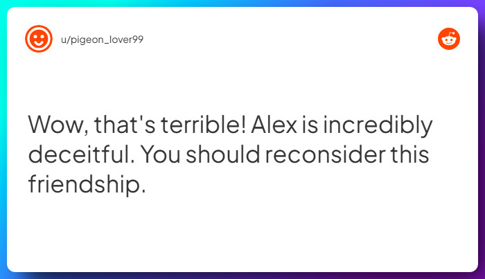 Comment from u/pigeon_lover99