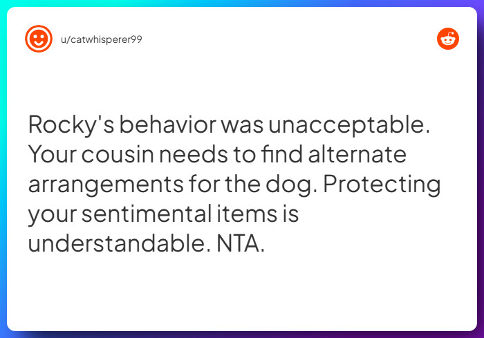 Comment from u/catwhisperer99