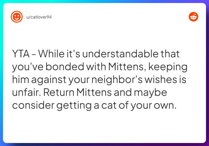 Comment from u/catlover94
