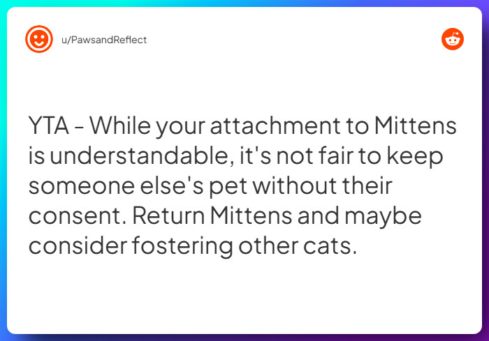 Comment from u/PawsandReflect