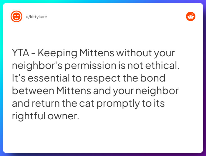 Comment from u/kittykare