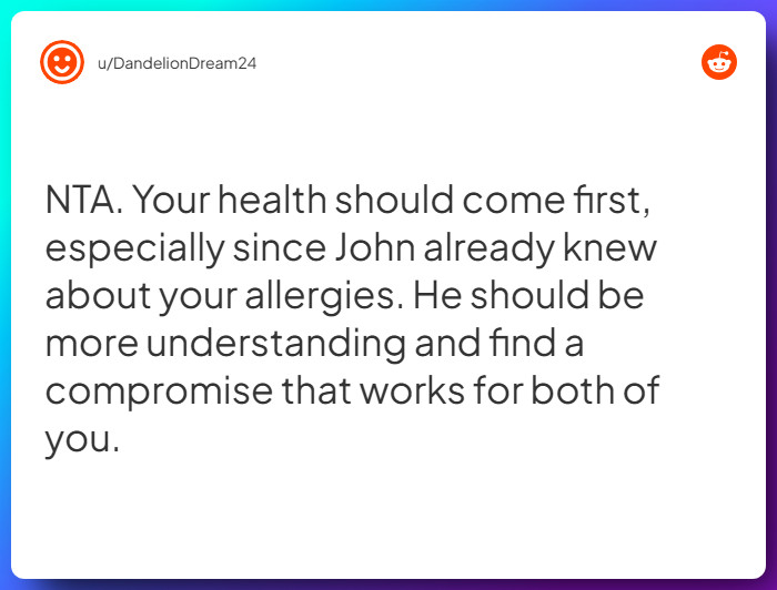 Comment from u/DandelionDream24