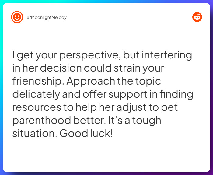 Comment from u/MoonlightMelody