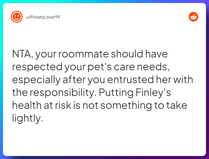 Comment from u/PotatoLover99