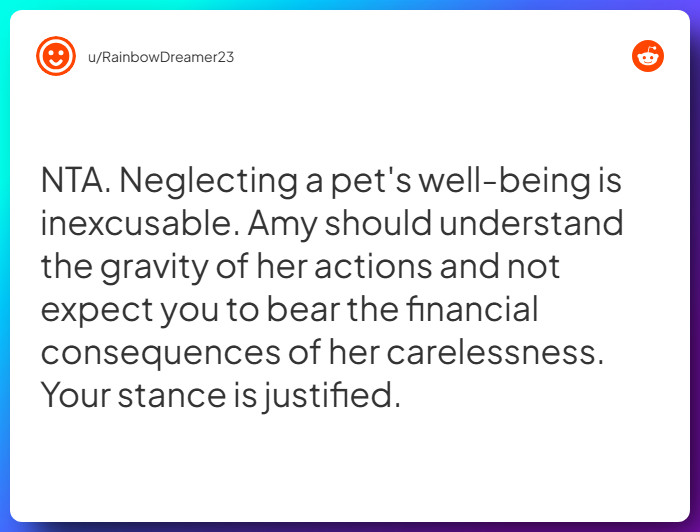 Comment from u/RainbowDreamer23