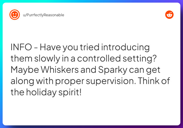 Comment from u/PurrfectlyReasonable