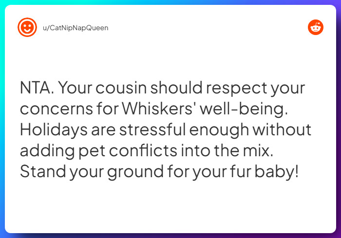 Comment from u/CatNipNapQueen