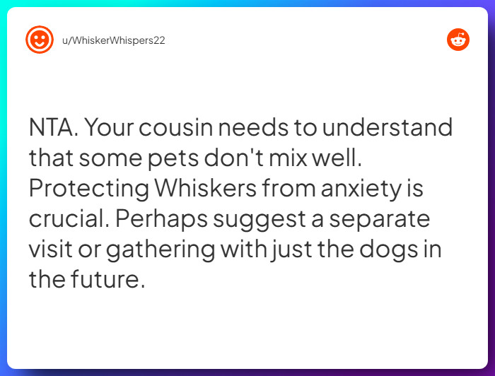 Comment from u/WhiskerWhispers22