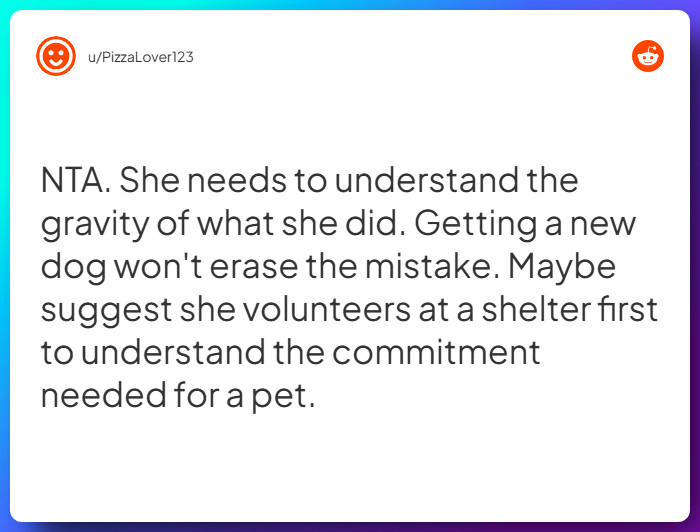 Comment from u/PizzaLover123