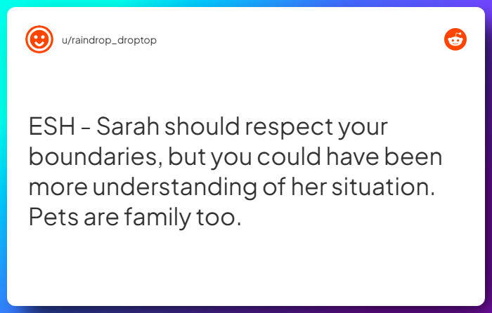 Comment from u/raindrop_droptop