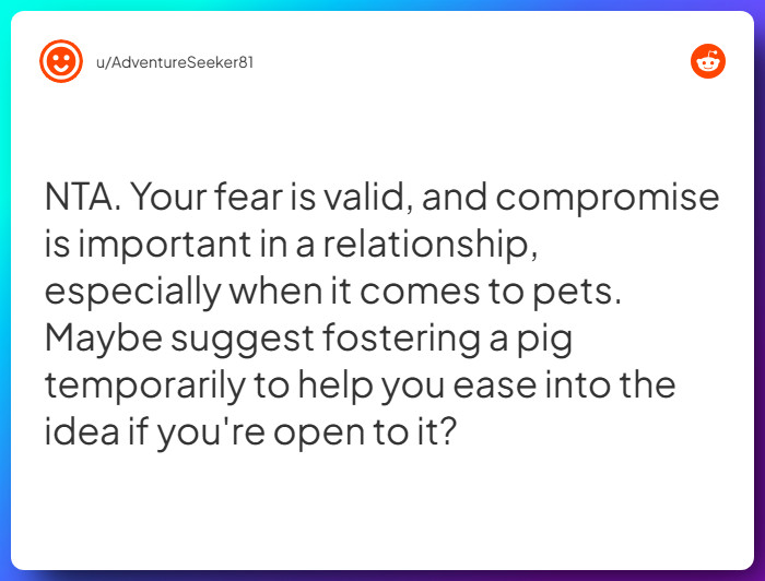 Comment from u/AdventureSeeker81