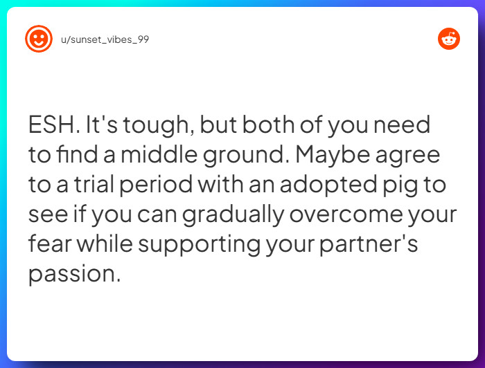 Comment from u/sunset_vibes_99