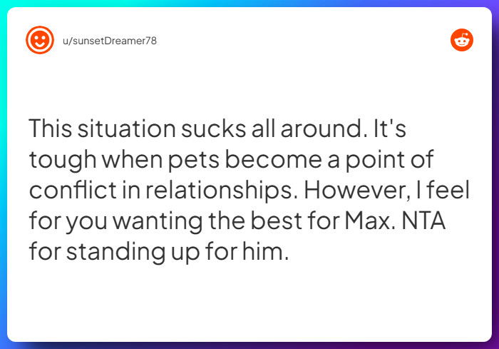 Comment from u/sunsetDreamer78