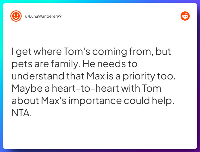 Comment from u/LunaWanderer99