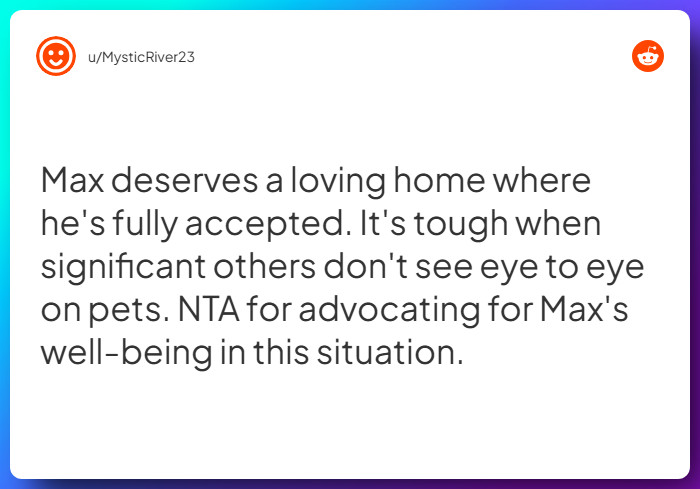 Comment from u/MysticRiver23