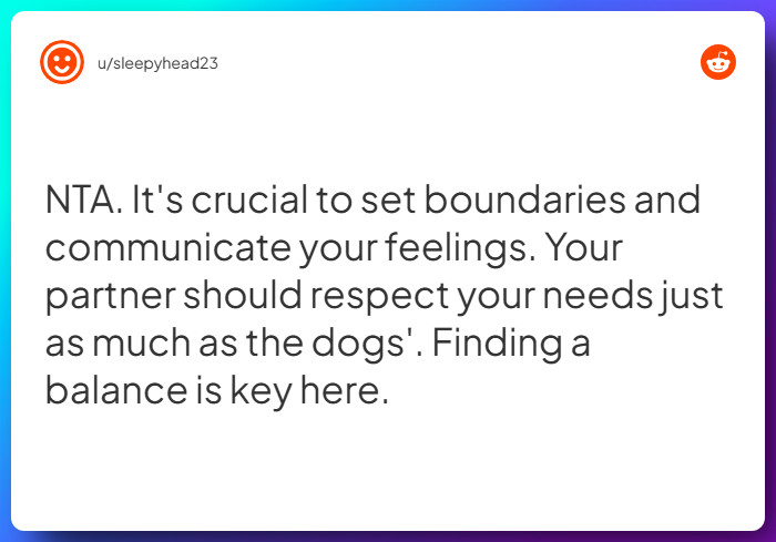 Comment from u/sleepyhead23