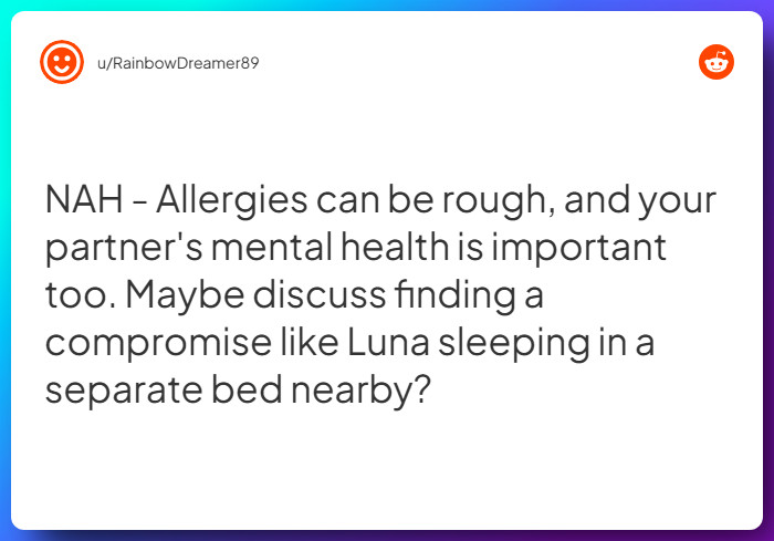 Comment from u/RainbowDreamer89