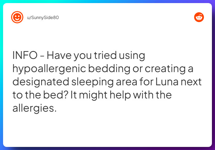 Comment from u/SunnySide80