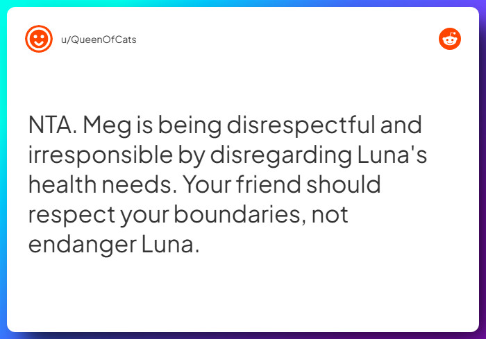 Comment from u/QueenOfCats