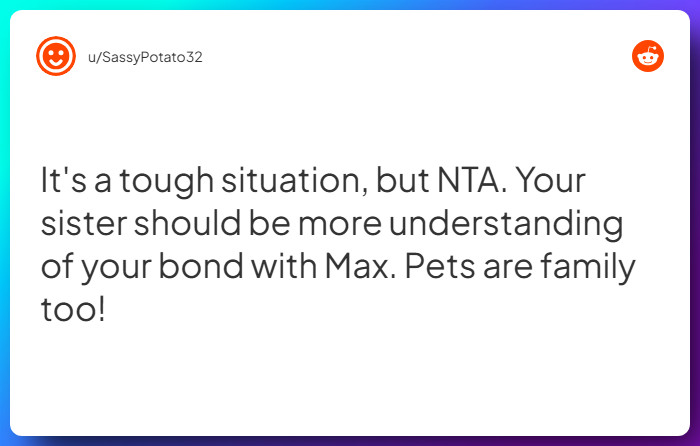 Comment from u/SassyPotato32