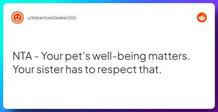 Comment from u/AdventureSeeker555