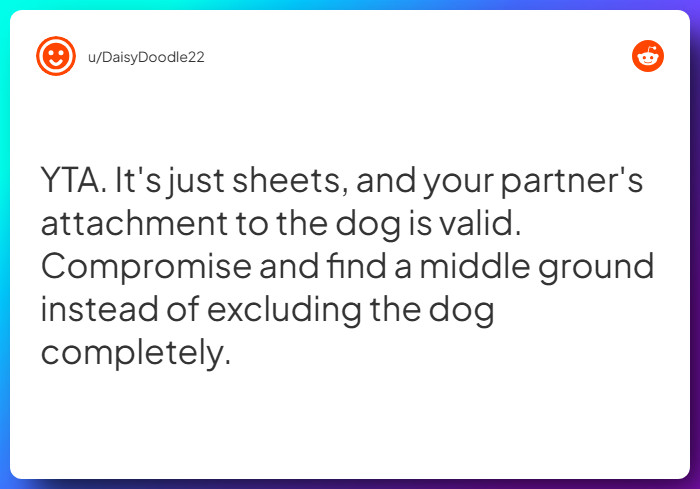 Comment from u/DaisyDoodle22