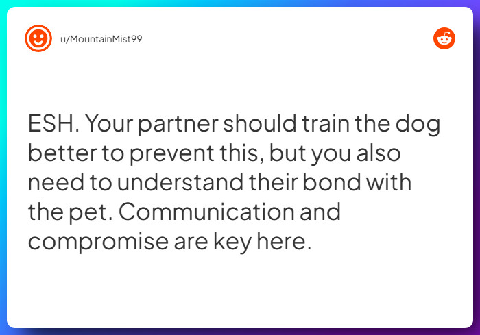 Comment from u/MountainMist99