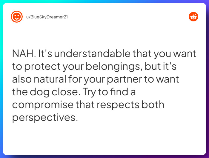 Comment from u/BlueSkyDreamer21