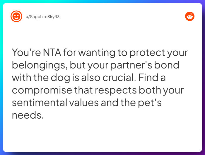 Comment from u/SapphireSky33