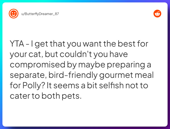 Comment from u/ButterflyDreamer_87