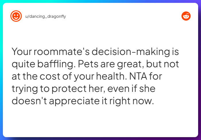 Comment from u/dancing_dragonfly