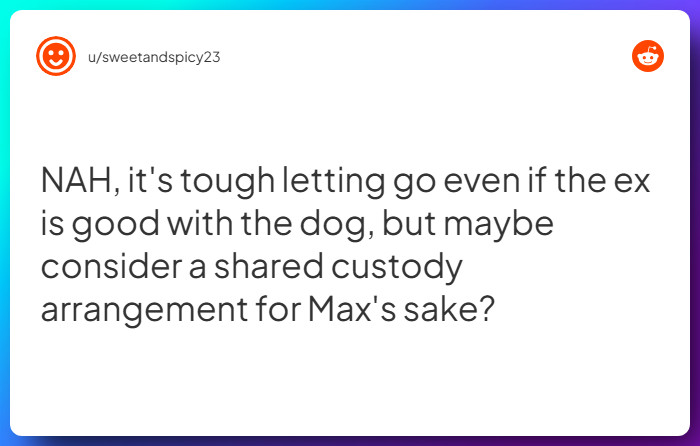 Comment from u/sweetandspicy23