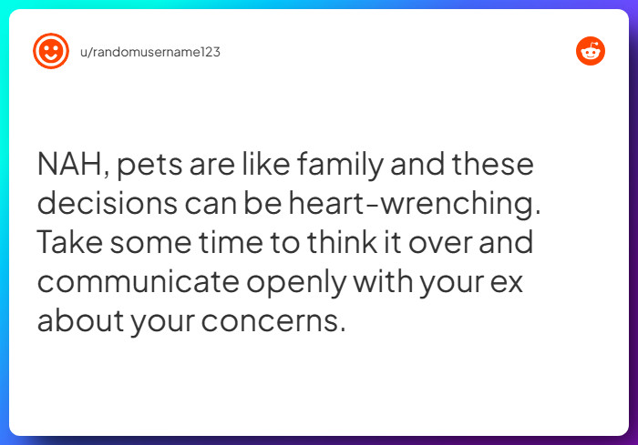 Comment from u/randomusername123