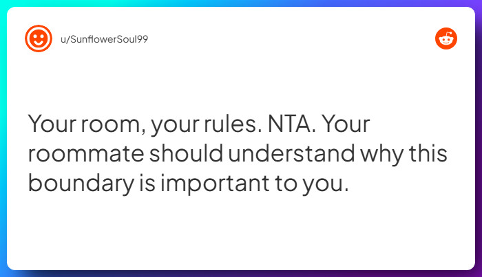 Comment from u/SunflowerSoul99