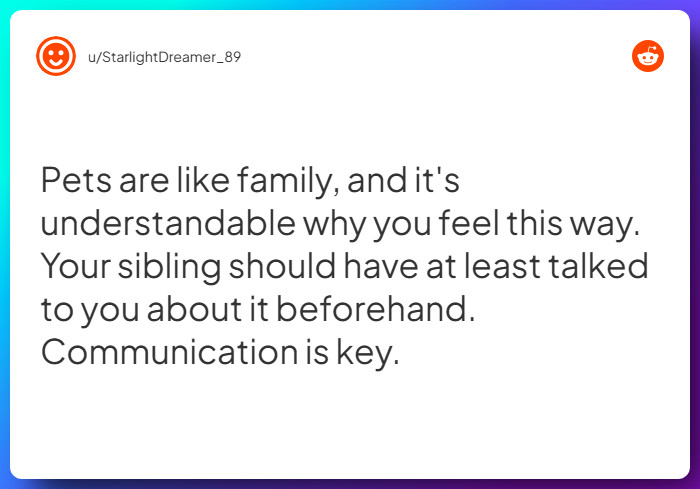 Comment from u/StarlightDreamer_89