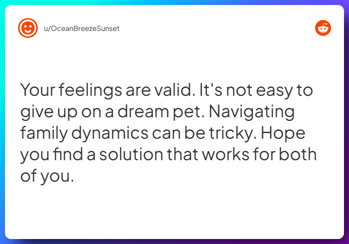 Comment from u/OceanBreezeSunset