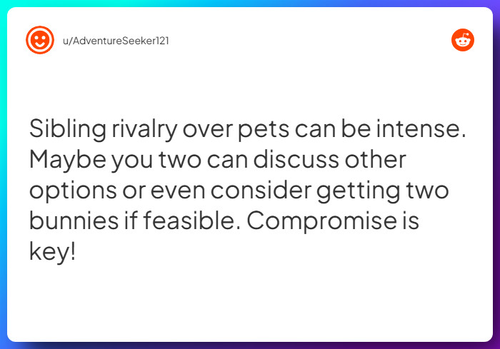 Comment from u/AdventureSeeker121