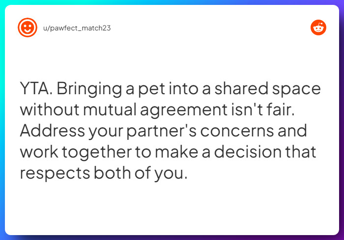 Comment from u/pawfect_match23