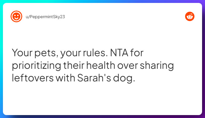 Comment from u/PeppermintSky23