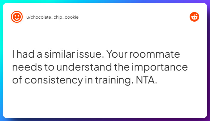 Comment from u/chocolate_chip_cookie