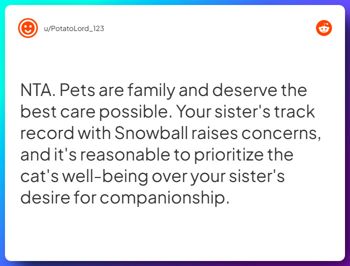 Comment from u/PotatoLord_123