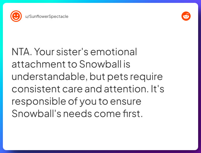 Comment from u/SunflowerSpectacle