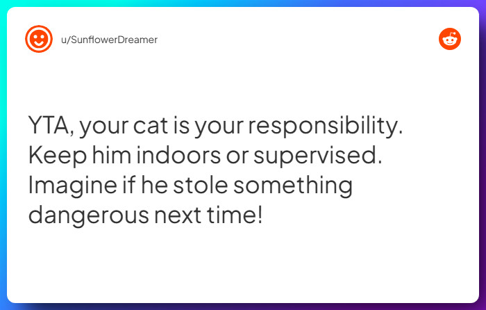 Comment from u/SunflowerDreamer