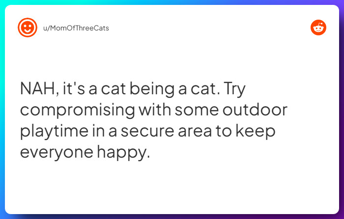 Comment from u/MomOfThreeCats