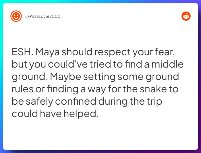 Comment from u/PizzaLover2000